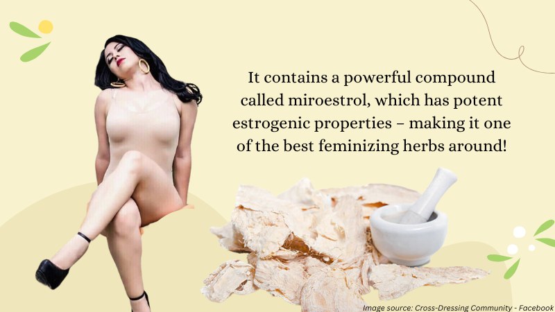 Feminizing Herbs That Increase Estrogen